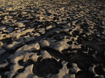 SX25296 Rocks on beach.jpg